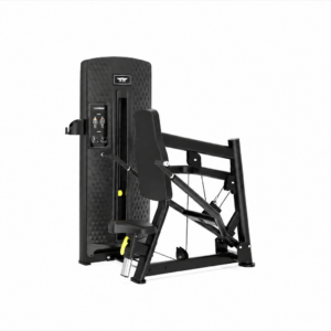 Triceps Dip Machine
