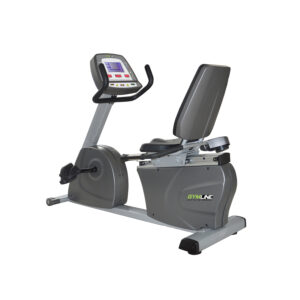 Recumbent Bike